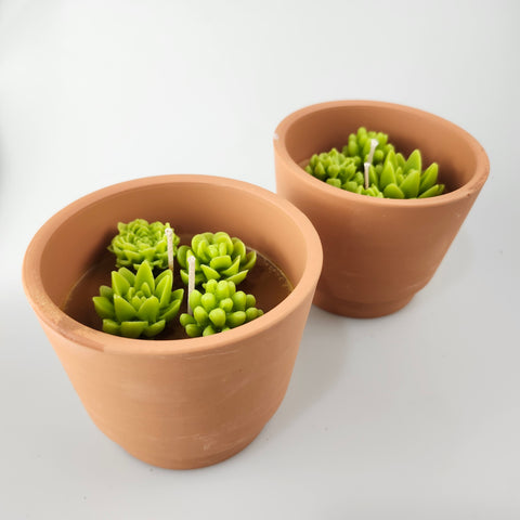 Succulents | Greenhouse Candle
