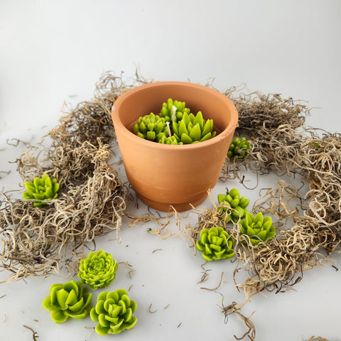 Succulents | Greenhouse Candle