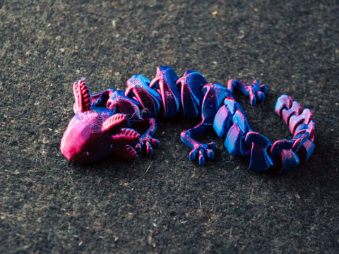 Articulated Axolotl