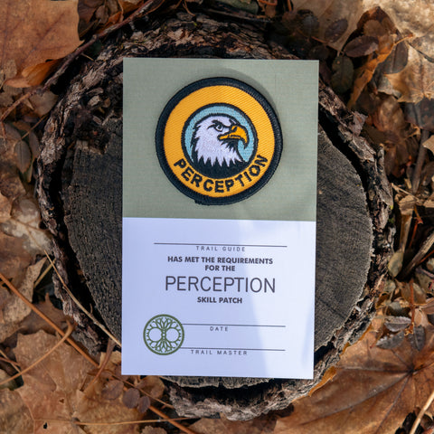 Perception Skill Patch