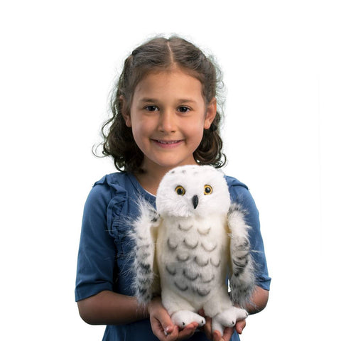 Animal Companions