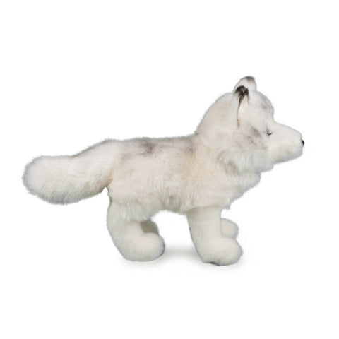 Snow Queen the Arctic Fox