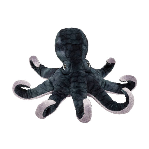 Winky Octopus