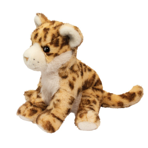 Scrappie Wild Cat