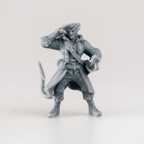 Kalister, Tiefling Swashbuckler