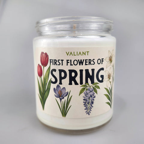 First Flowers of Spring