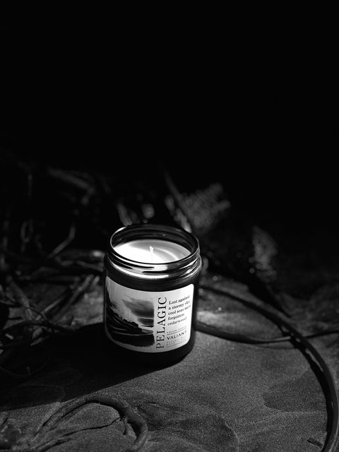 Pelagic Candle