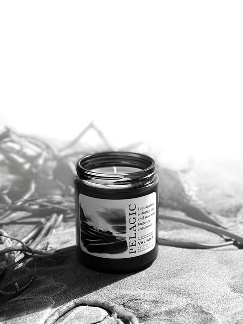 Pelagic Candle