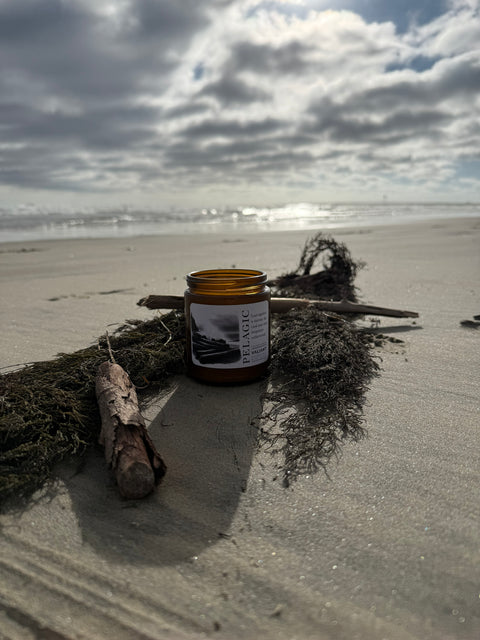 Pelagic Candle