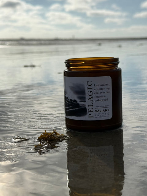 Pelagic Candle