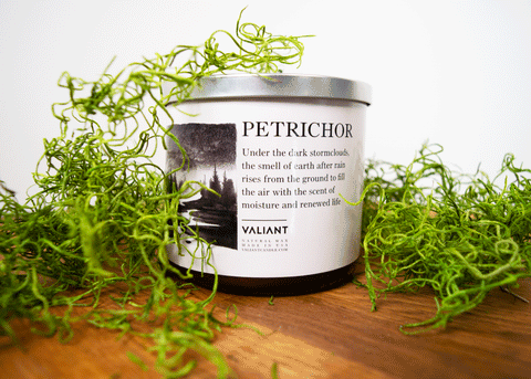 Petrichor