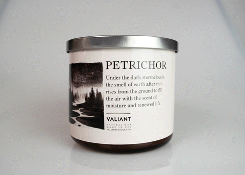 Petrichor