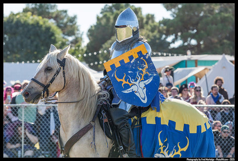 Age of Chivalry
