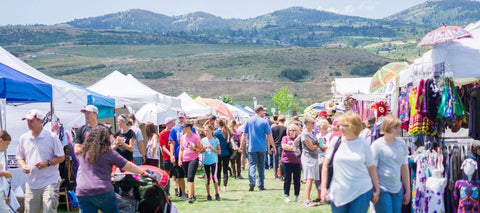 We Geek Together at Bear Lake Raspberry Days