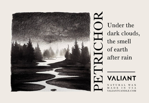 Petrichor