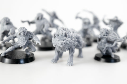 Nature's Pathway DM Bundle 10-Pack Miniatures