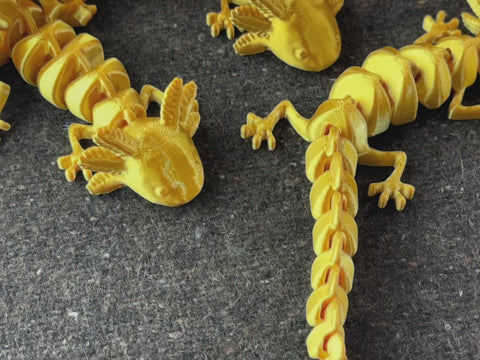 Articulated Axolotl